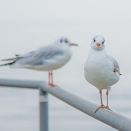 Meerzeit - Maritime Fewo In Timmendorfer Strand Kültér fotó